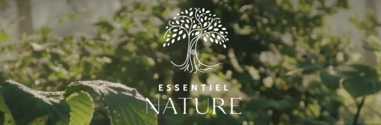 Essentiel-N-logo-accueil