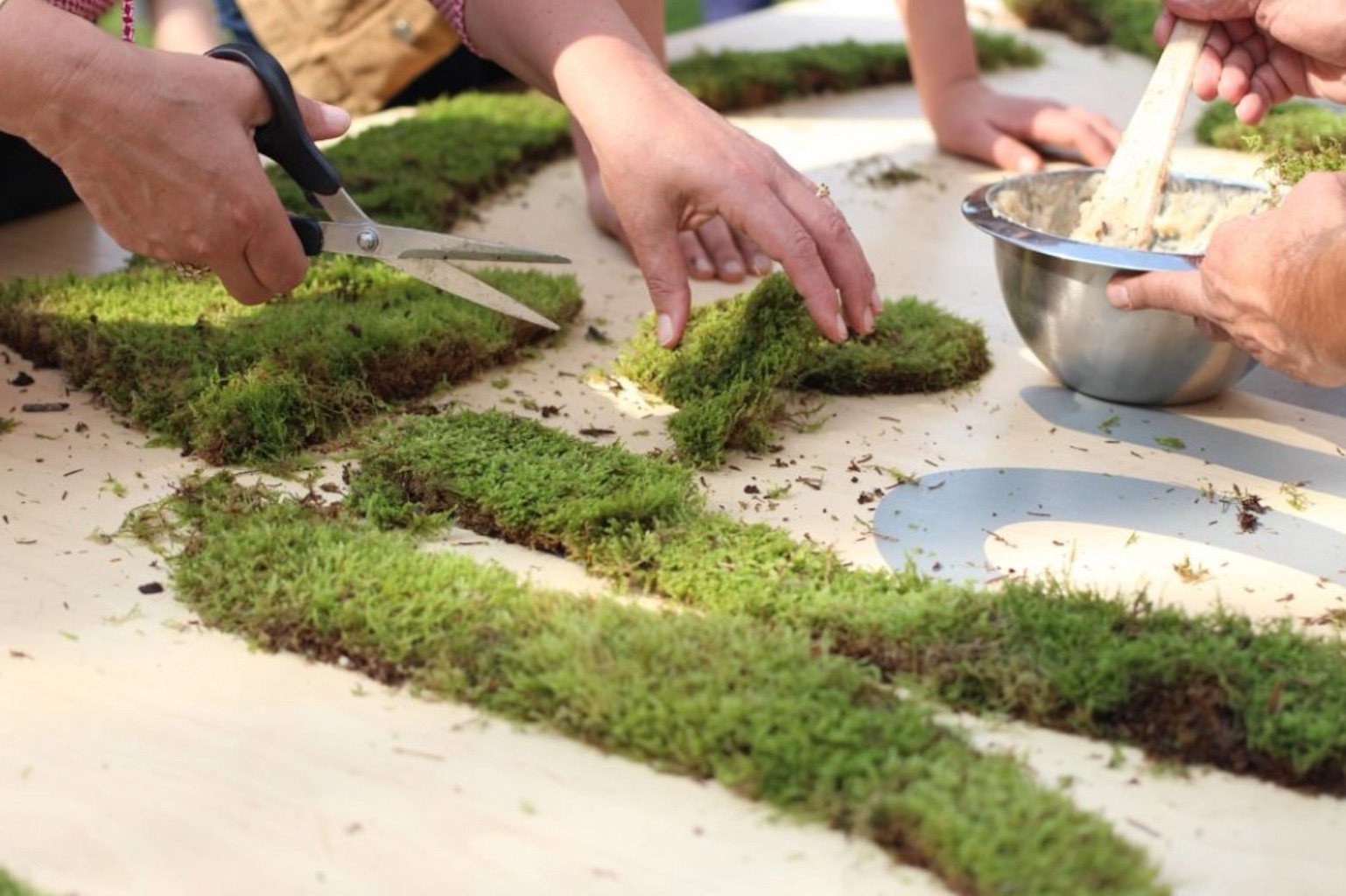 Image-fresque-et-main