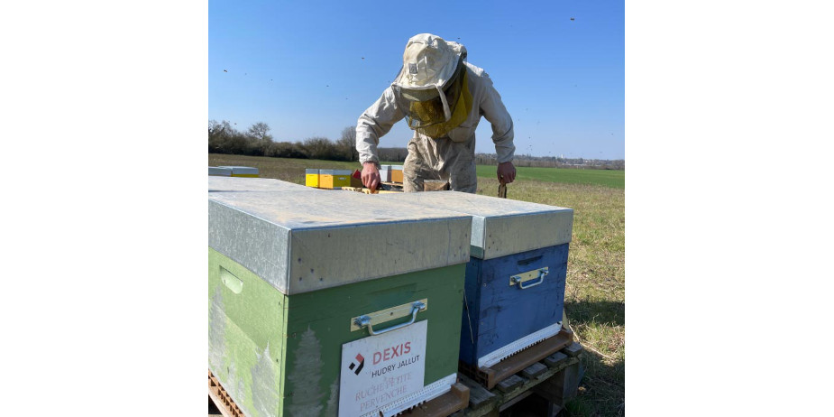 confidences-dabeilles1