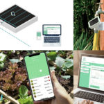 Photo de l'entreprise Agrove, végétalisation urbaine