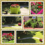 Photo d'un potager Biopratic