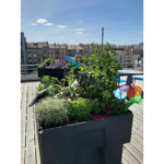 Photo d'un potager Biopratic