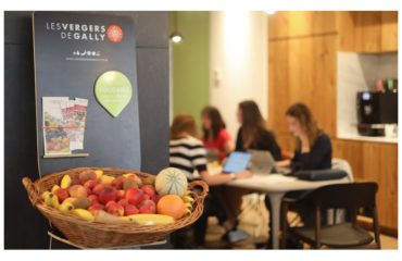 Photo de l'entreprise Les Vergers de Gally, livraison de paniers de fruits au bureau