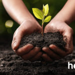 Photo de l'entreprise Helexia, transition énergétique des entreprises