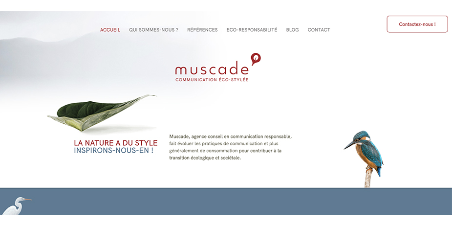 photo-muscade-agence