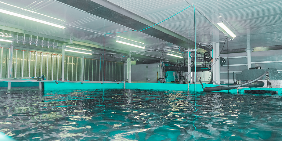 SEAWATER_Cube_inside