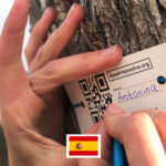 Photo de l'entreprise Apadrina Un Olivo, parrainage d'un olivier abandonné