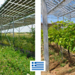 Photo de l'entreprise Brite Solar, fabricant de panneaux solaires photovoltaïques transparents.