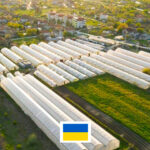 Photo de l'entreprise Carbominer