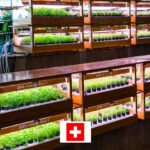 Photo de l'entreprise Caulys représentant un potager vertical.