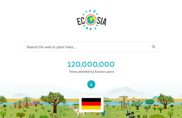 Photo of the company Ecosia, ecological search engine