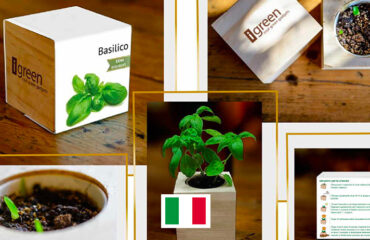 Photo of the company Igreen, flowers and plants in wooden cubes