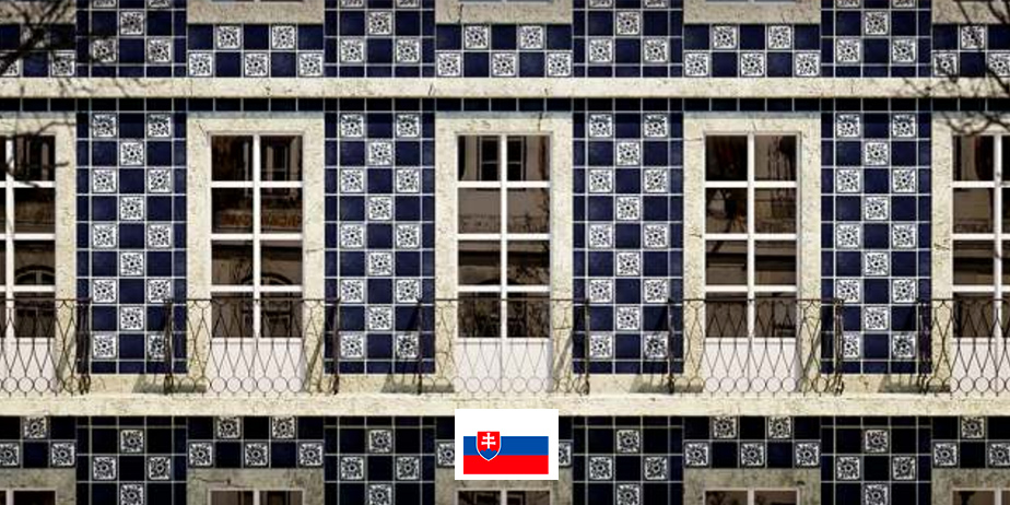 nice-visions-picture