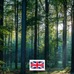 Photo de l'entreprise Minimum, le système d'enregistrement carbone pour entreprises