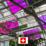 Photo de l'entreprise Voltiris, centrales électriques