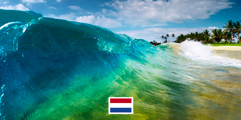 z-elemental-waters-makers-picture