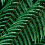 Photo de l'entreprise Déclic Ecologique, conseil pour la transition écologique des entreprises