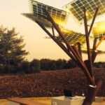 Photo de l'entreprise e-tree qui propose un arbre solaire connecté