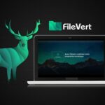Photo de l'entreprise FileVert qui propose des transferts de fichiers responsables