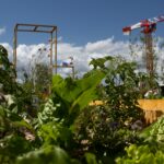 Photo d'un potager collaboratif en entreprise installé par l'entreprise Growsters