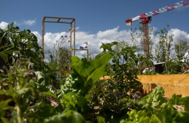 Photo of a collaborative vegetable garden in a company installed by the company Growsters