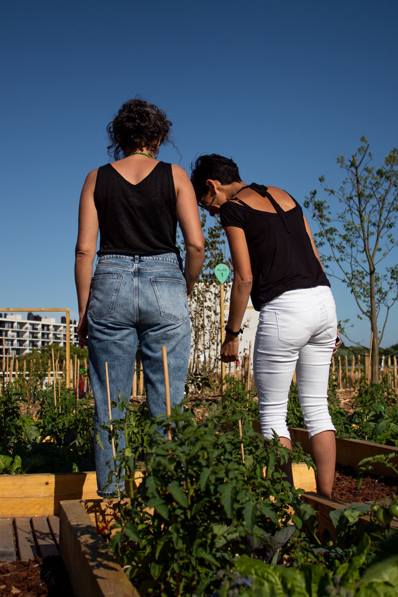 Regarde-moi-ces-potagers-min