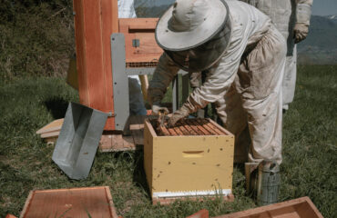 Photo de l'entreprise Un Rêve d'Abeilles représentant un apiculteur et une ruche