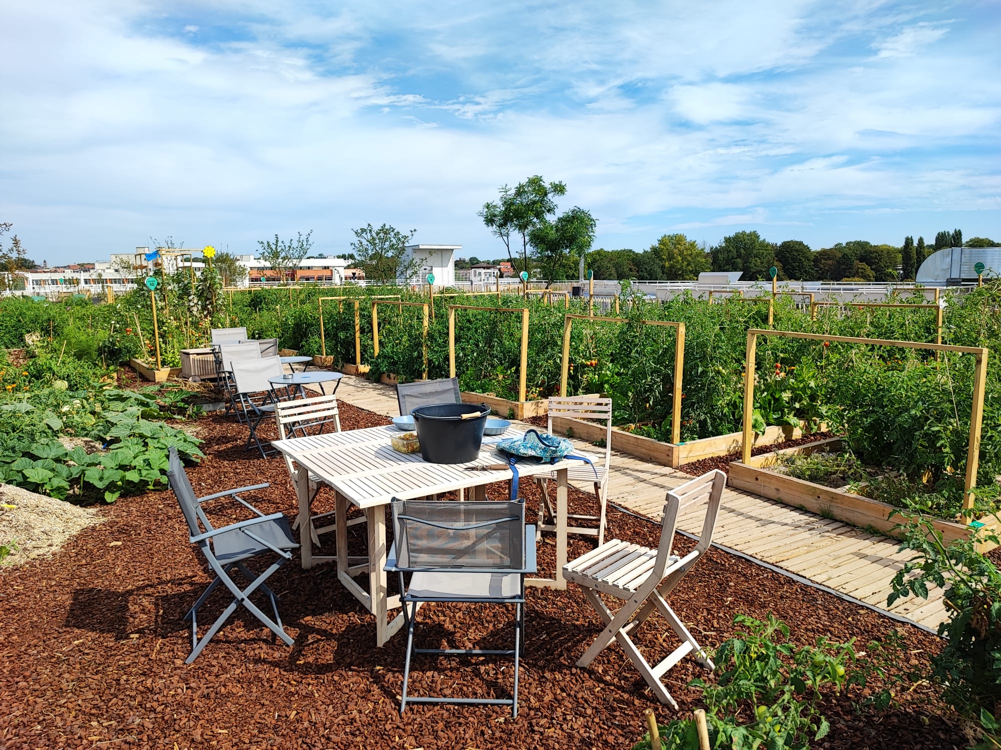 PHOTO-2022-09-05-13-07-49